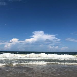 Meet your Posher, Madelina